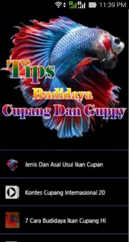 Budidaya Cupang Dan Guppy For Android Apk Download