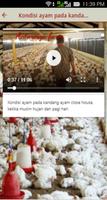 Inspirasi Peternakan 스크린샷 1
