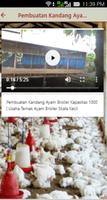 Inspirasi Peternakan 스크린샷 2