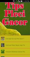 Tips Pleci Gacor Poster