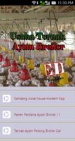 Usaha Ternak Ayam Broiler syot layar 2