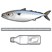 釣りメジャー