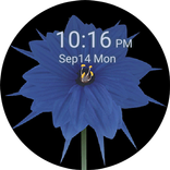 Bloom Watch Face