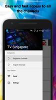TV Singapore Channels Info Poster