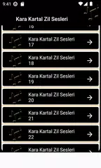 Black Eagle Ringtones APK download