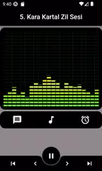 Black Eagle Ringtones APK download