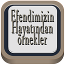 Efendimizi Hayatından Kıssalar APK