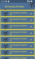 برنامه‌نما Sarı Kanaryam Marşları عکس از صفحه