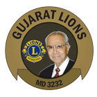 Gujarat Lions MD3232 ícone