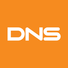 DNS 图标