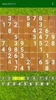 Sudoku. Oh no, Another one! screenshot 2