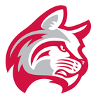 Indiana Wesleyan Wildcats ikon