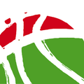 Euskal Saskibaloi Federazioa