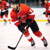 Ice hockey field Prediction APK