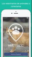 VetMapp Poster