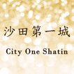 City One Shatin icon