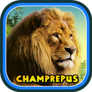 Zoo Champrepus-APK