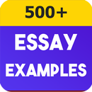 Essay Examples: How to Write a APK