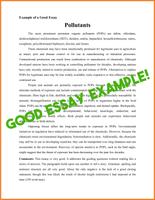 Essay Examples स्क्रीनशॉट 1