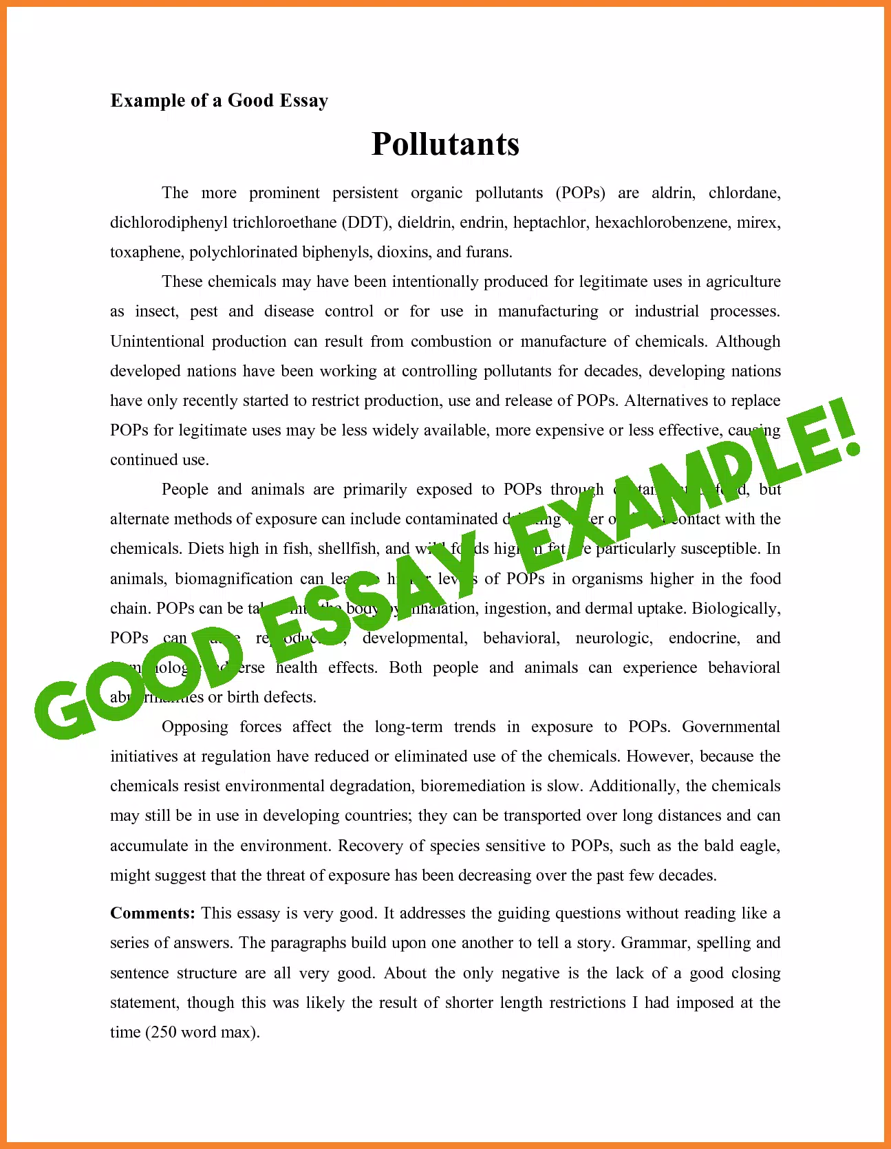 Essay example