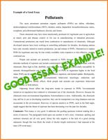 How To Write an Essay imagem de tela 2