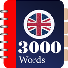 3000 Essential Words icon