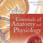 Essentials Of Anatomy And Physiology Book icône