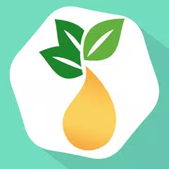 Essential Oils Guide - MyEO APK download
