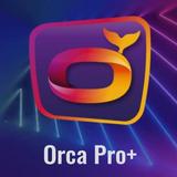 ORCA PRO+ aplikacja