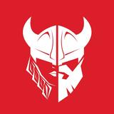 Espace Viking icon