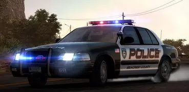 Police car chase game