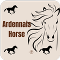Ardennais horse