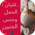 Nausea of ​​pregnancy