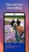 StoryMaps 截图 2