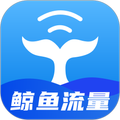 鲸鱼流量