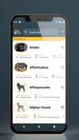 Dog's Love скриншот 1