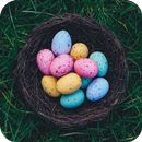 Ester Egg Wallpapers APK