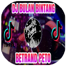 DJ Bulan Bintang Remix 2021 Offline APK