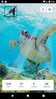 پوستر Sipcam Ecuador e Islas Galápagos