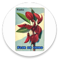 Flor de ceibo Radio