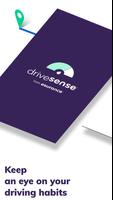 DriveSense постер
