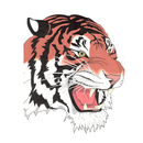 Mansfield City Schools Tygers APK