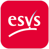 ESVS-icoon