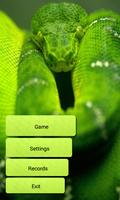 پوستر Snake WiFi