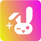 Real Followers Bunny icône