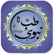 Tibb E Nabawi PBUH иконка