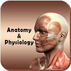Anatomy & Physiology icône