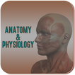 آیکون‌ Anatomy & Physiology