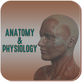 Anatomy & Physiology