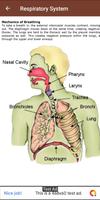 Anatomy & Physiology capture d'écran 3